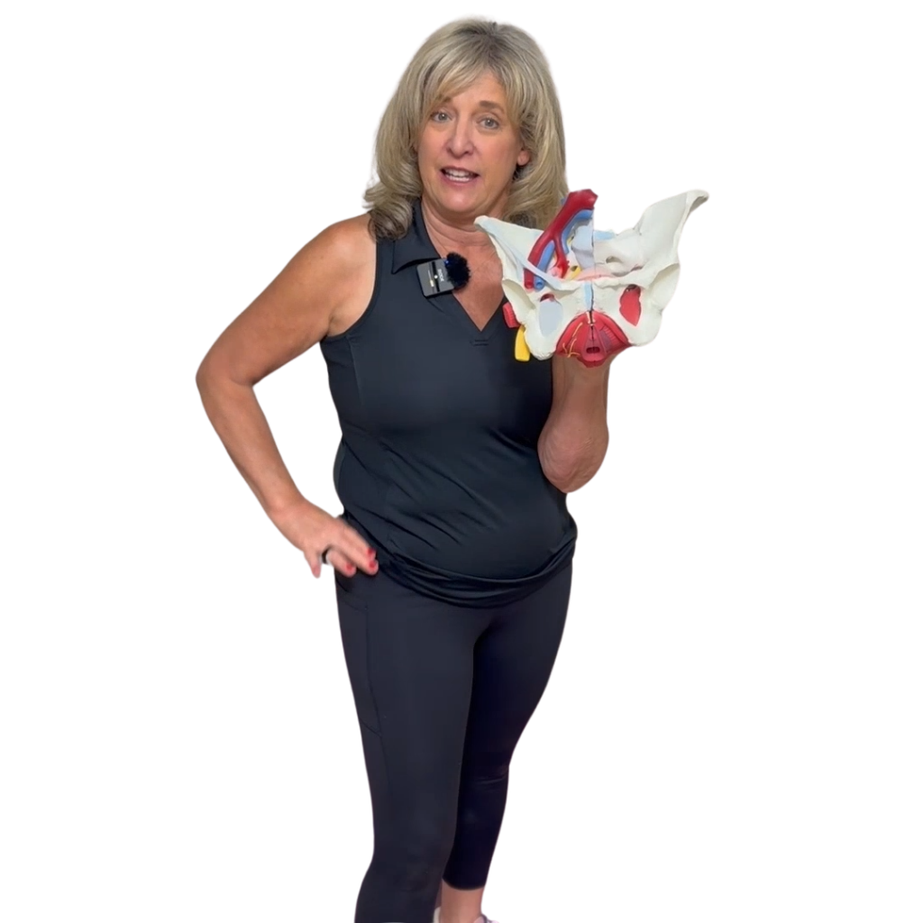 Sheree DiBiase, PT — Pelvic Floor Specialist
